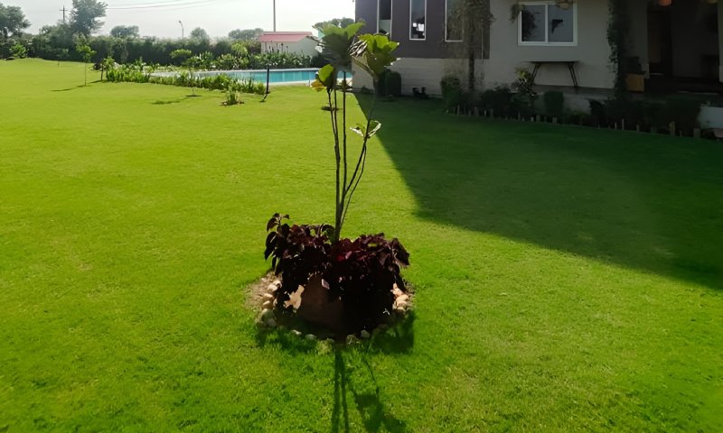Hills Luxury Resort Gurgaon Gallery Image 15